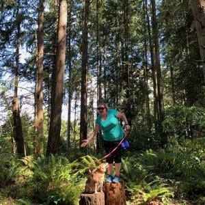 Meet your Posher, Ally